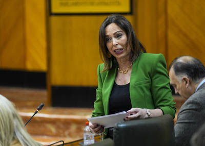 Roco Daz, consejera de Fomento, Articulacin del Territorio y Vivienda, contesta a la pregunta de su competencia 