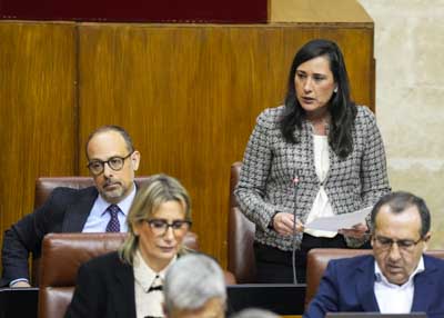  Roco Arrabal, del Grupo Socialista, formula una pregunta de mxima actualidad relativa a denuncias de acoso sexual 