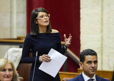  Por el Grupo Popular de Andaluca, la diputada ngeles Martnez pregunta sobre la candidatura de la geoda de Pulp (Almera) 