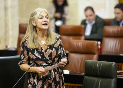 Patricia del Pozo, consejera de Cultura y Deporte, contesta a la pregunta de su mbito competencial 