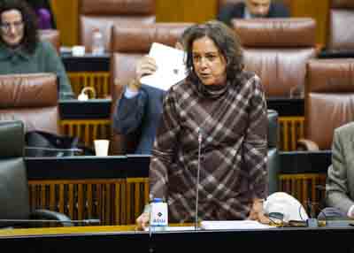 Catalina Garca, consejera de Sostenibilidad y Medio Ambiente, responde a la pregunta 