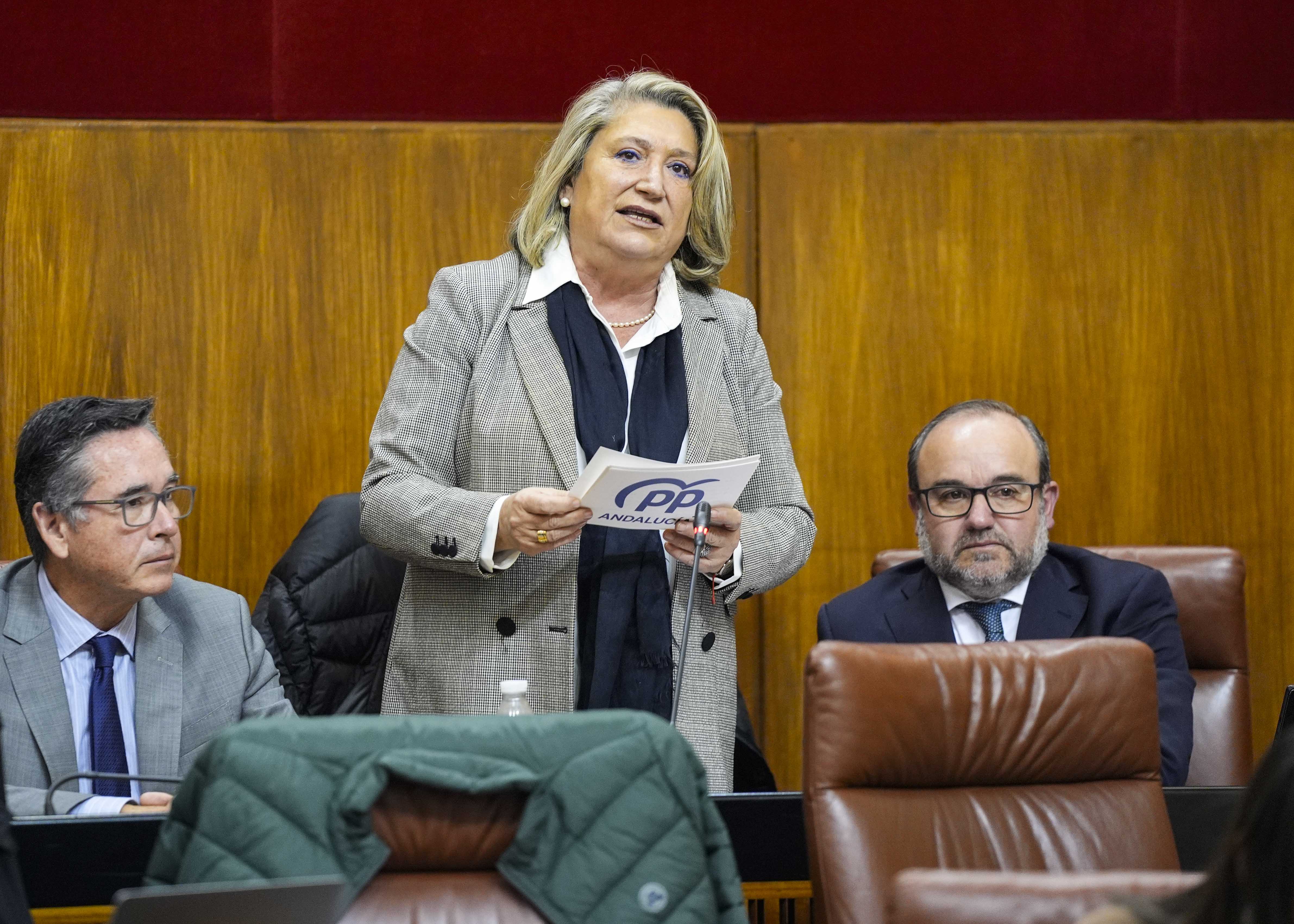  Trinidad Herrera, del G.P. Popular, pregunta sobre la adaptacin de la sede judicial del edificio El Cubo (Granada)