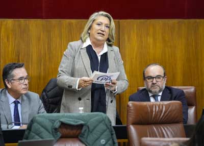  Trinidad Herrera, del G.P. Popular, pregunta sobre la adaptacin de la sede judicial del edificio El Cubo (Granada)
