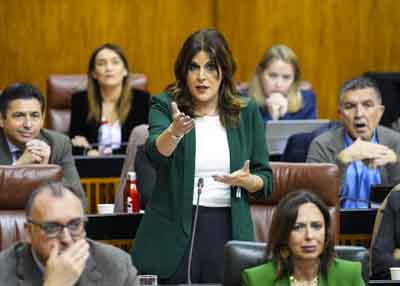 Mara de los ngeles Frriz, portavoz del G.P. Socialista, pregunta al presidente de la Junta de Andaluca sobre el funcionamiento de los servicios pblicos  