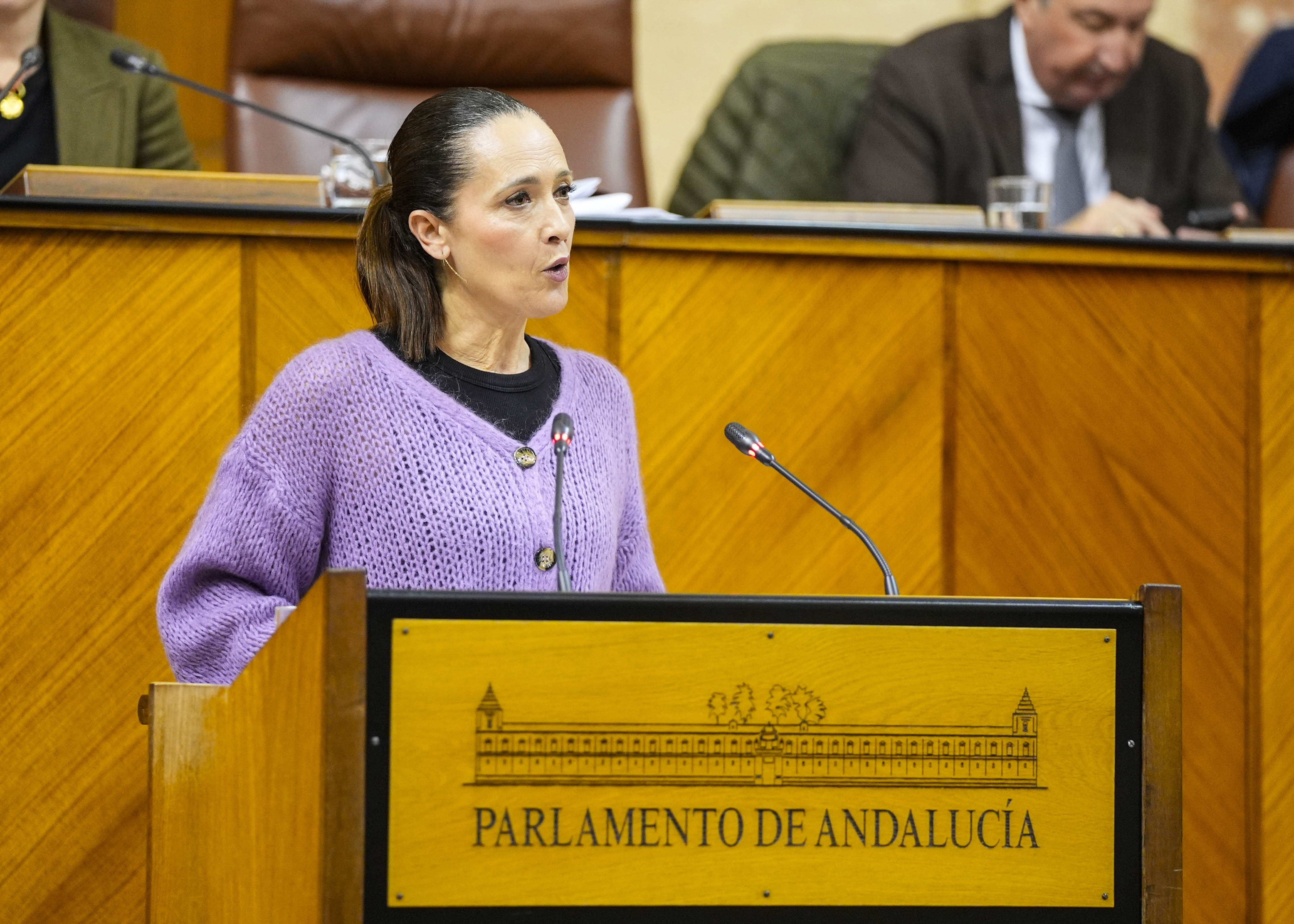  Mara Isabel Lozano, portavoz adjunta del G.P. Popular, defiende una proposicin no de ley relativa a las reivindicaciones al Gobierno de Espaa para paliar los negativos efectos del nuevo programa de asistencia material bsica en la poblacin andaluza vulnerable  