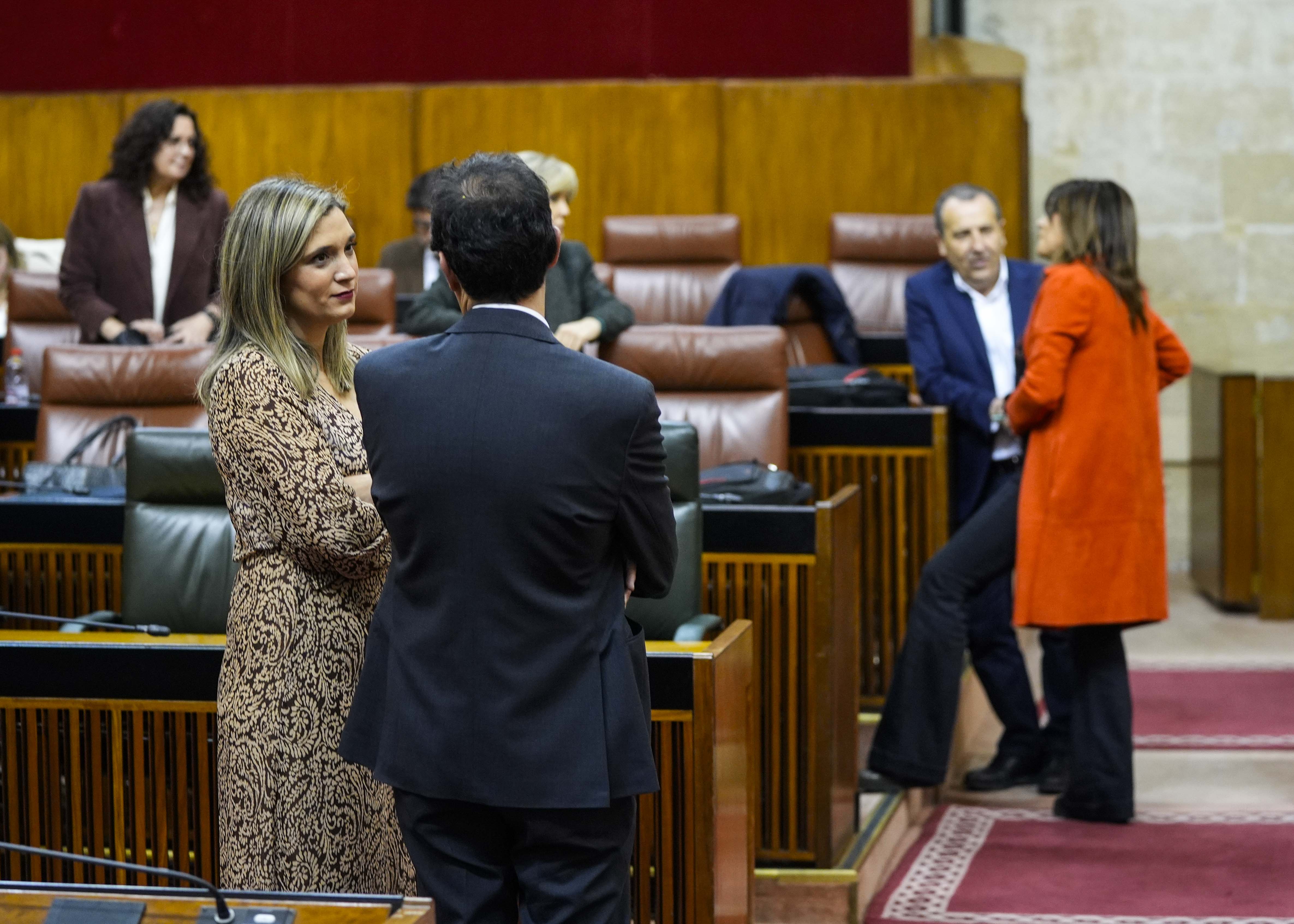  La nueva portavoz del G.P. Socialista, Mara Mrquez, antes de comenzar el pleno