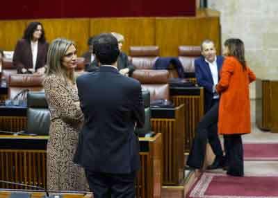  La nueva portavoz del G.P. Socialista, Mara Mrquez, antes de comenzar el pleno