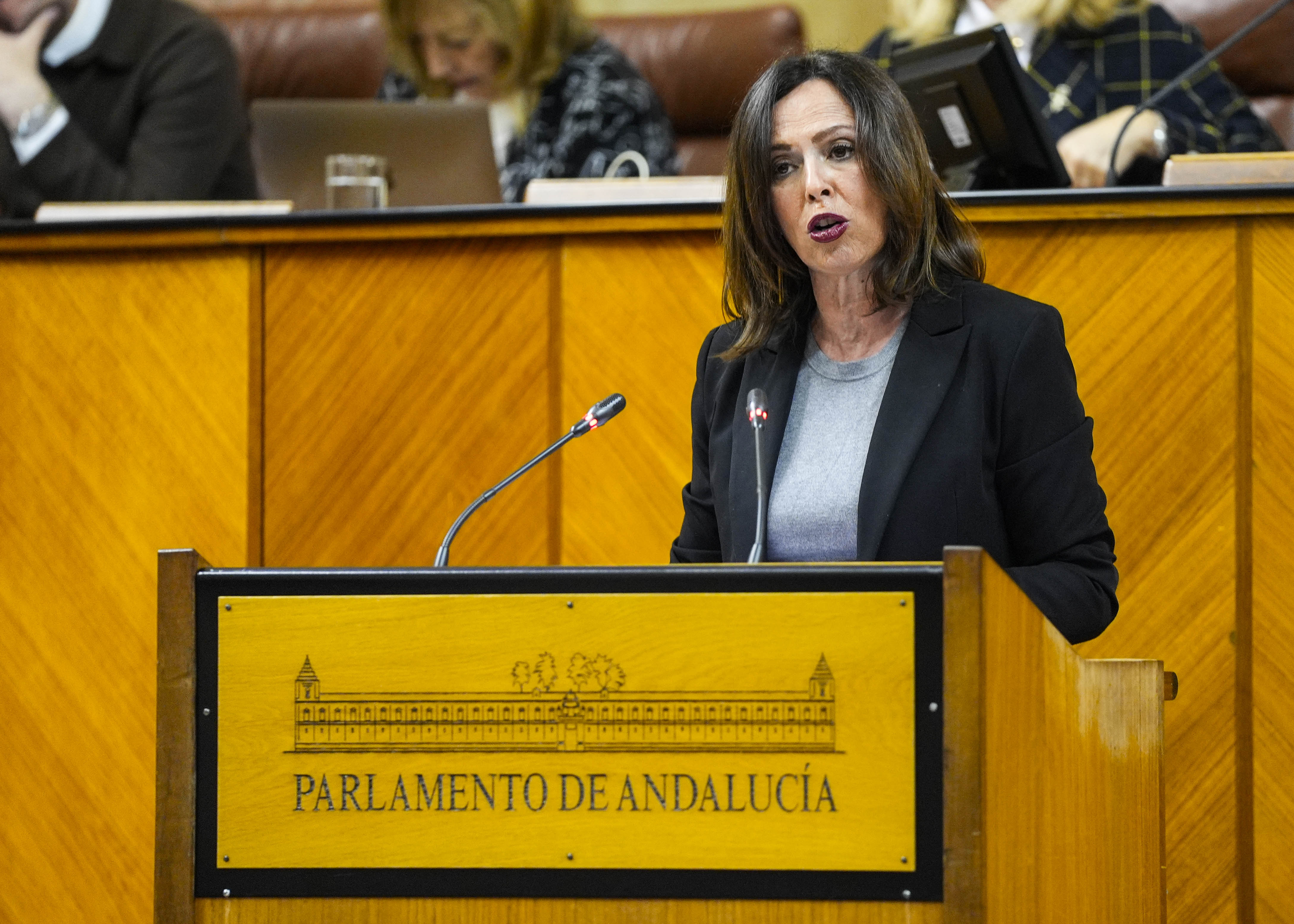 La consejera de Fomento, Articulacin del Territorio y Vivienda, Roco Daz, solicita al Pleno la convalidacin del Decreto Ley 1/2025, de 24 de febrero, de medidas urgentes en materia de vivienda

 