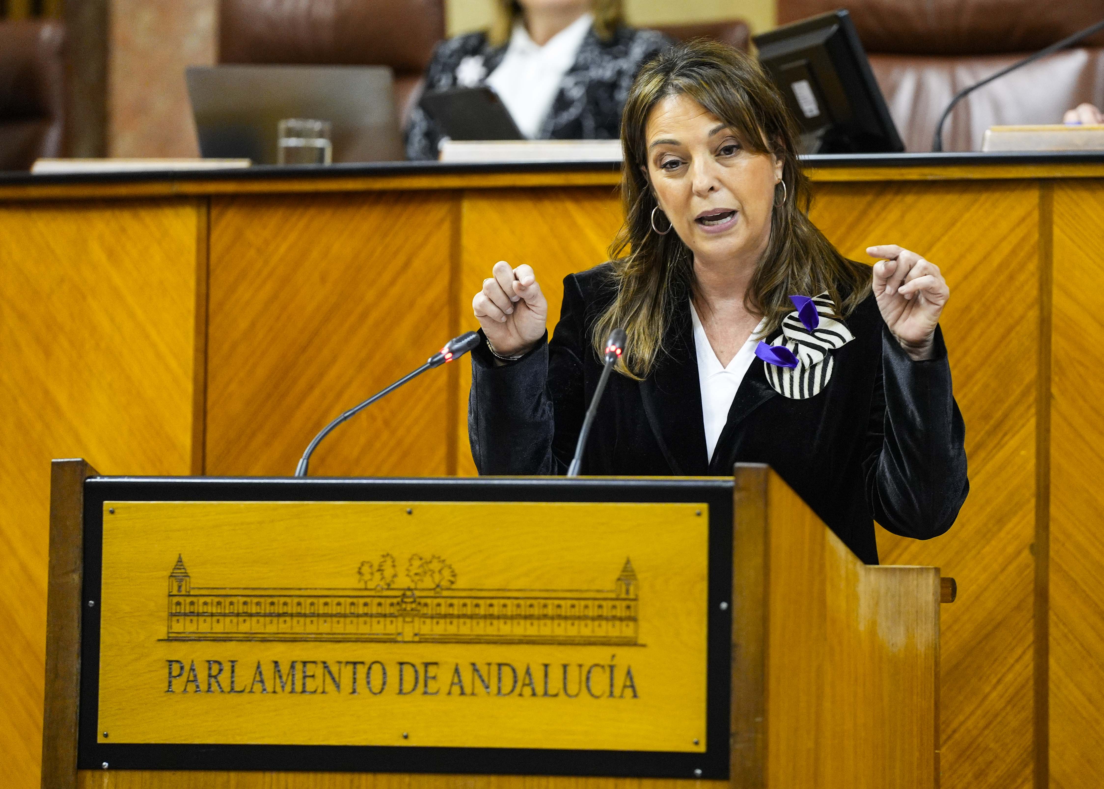 La diputada socialista Mara Isabel Ambrosio posiciona a su grupo parlamentario respecto de la convalidacin o derogacin del decreto ley 