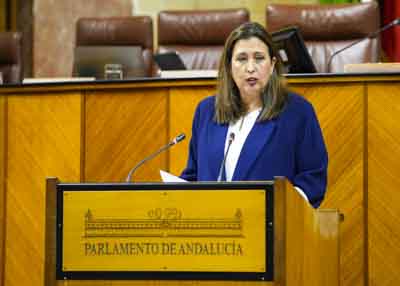 Por el Grupo Popular interviene en el debate del decreto ley la diputada Ana Chocano 