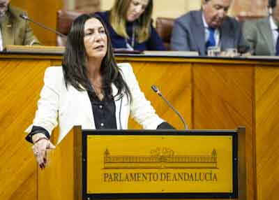  Loles Lpez, consejera de Inclusin Social, comparece ante el Pleno para informar sobre las medidas que est desarrollando la Consejera en materia de promocin de la igualdad entre mujeres y hombres en Andaluca, conciliacin y corresponsabilidad 