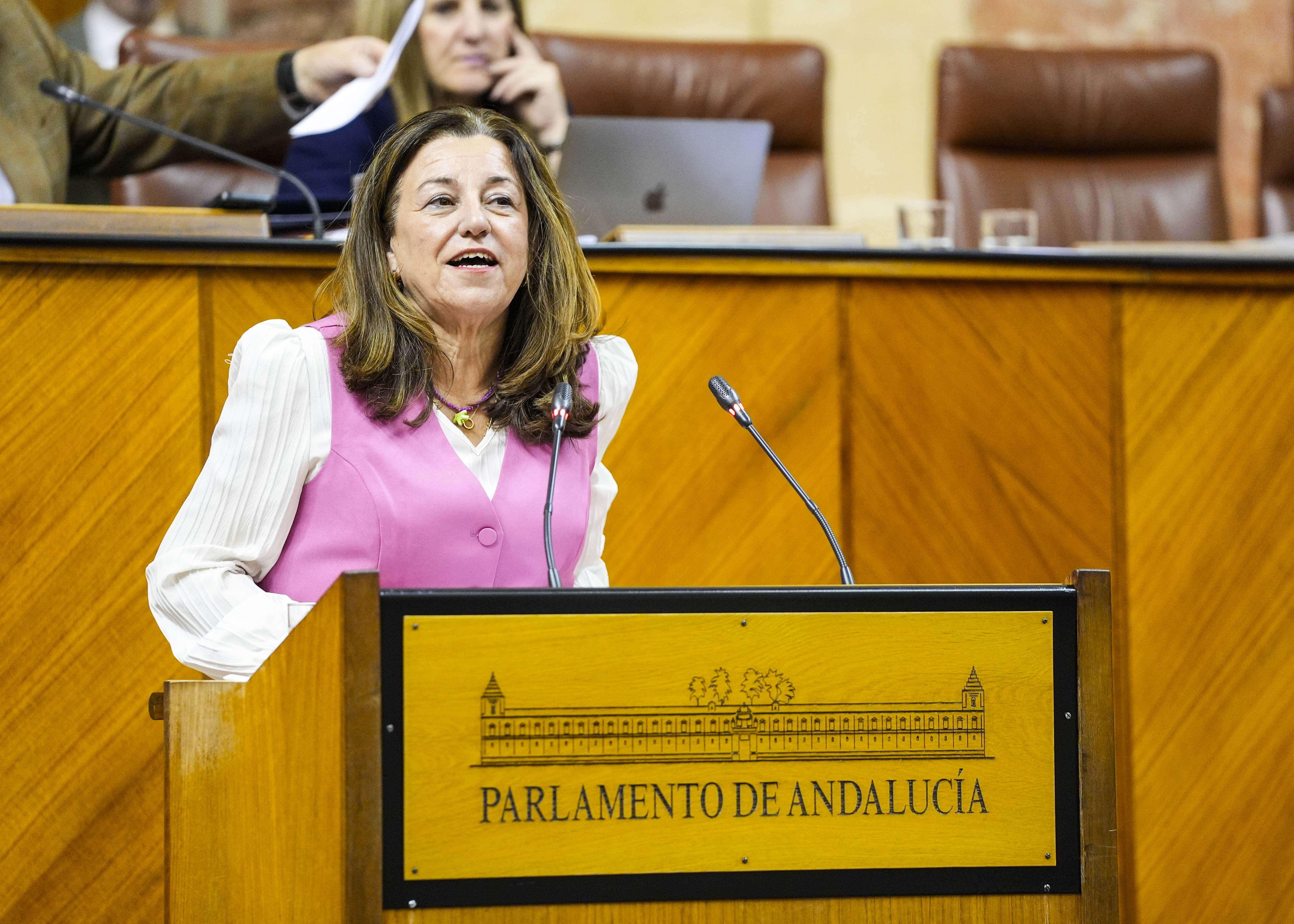 La consejera de Desarrollo Educativo y Formacin Profesional, Mara del Carmen Castillo, comparece para informar sobre el proceso de escolarizacin del curso 2025-2026 