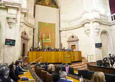 El Pleno durante la votacin que ha tenido lugar al finalizar el orden del da 