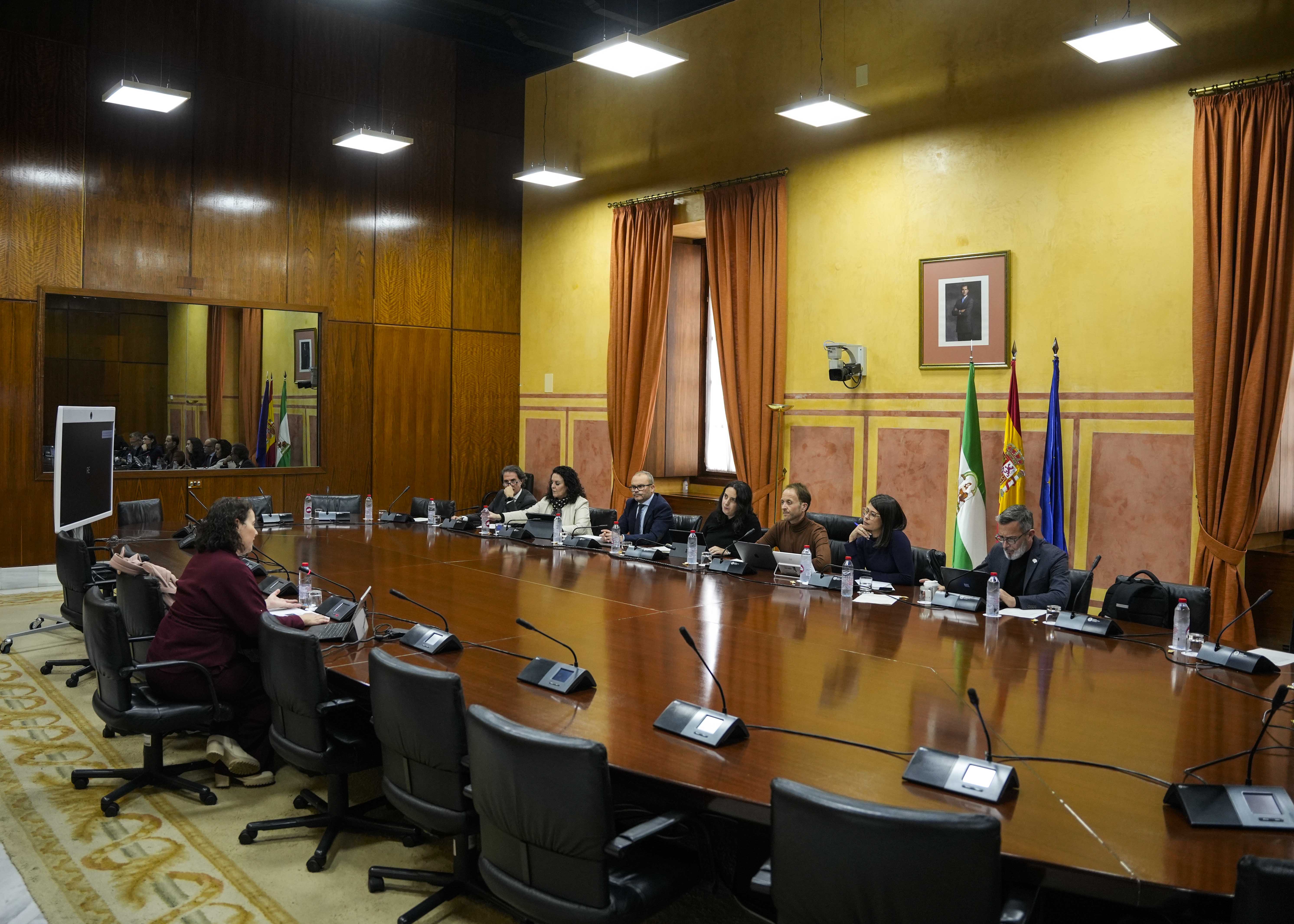  El Grupo de Trabajo relativo a la Inteligencia Artificial atiende a la exposici�n de Ana Rosa del �guila Obra, directora del Proyecto de innovaci�n tecnol�gica "Vivir en casa"