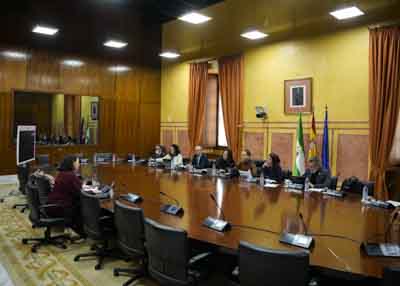  El Grupo de Trabajo relativo a la Inteligencia Artificial atiende a la exposici�n de Ana Rosa del �guila Obra, directora del Proyecto de innovaci�n tecnol�gica "Vivir en casa"