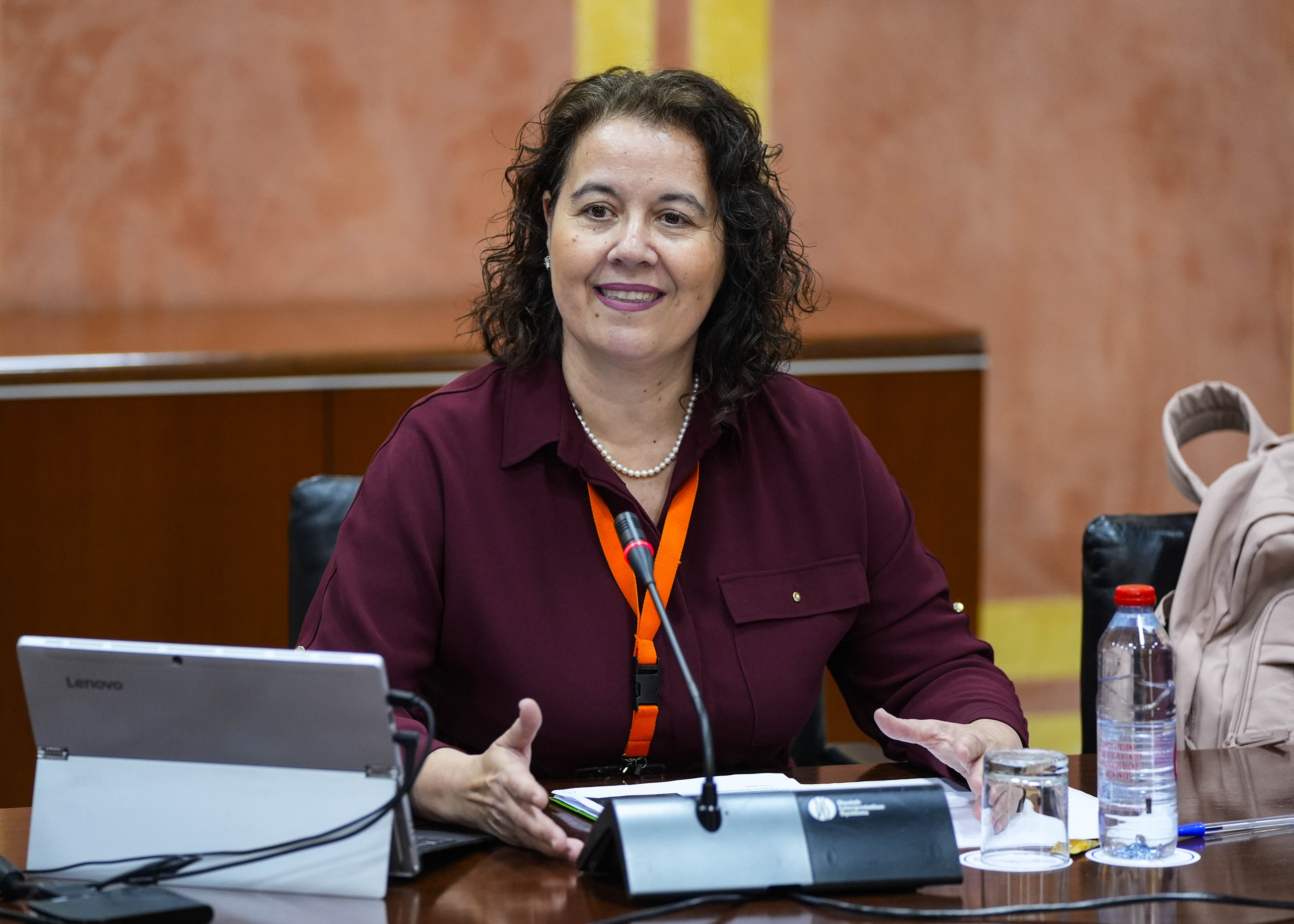  Ana Rosa del �guila Obra, directora del Proyecto de innovaci�n tecnol�gica "Vivir en casa", ha iniciado las comparecencias de esta tarde ante el Grupo de Trabajo