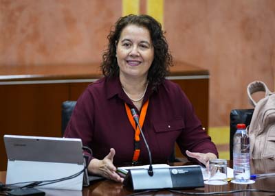  Ana Rosa del �guila Obra, directora del Proyecto de innovaci�n tecnol�gica "Vivir en casa", ha iniciado las comparecencias de esta tarde ante el Grupo de Trabajo