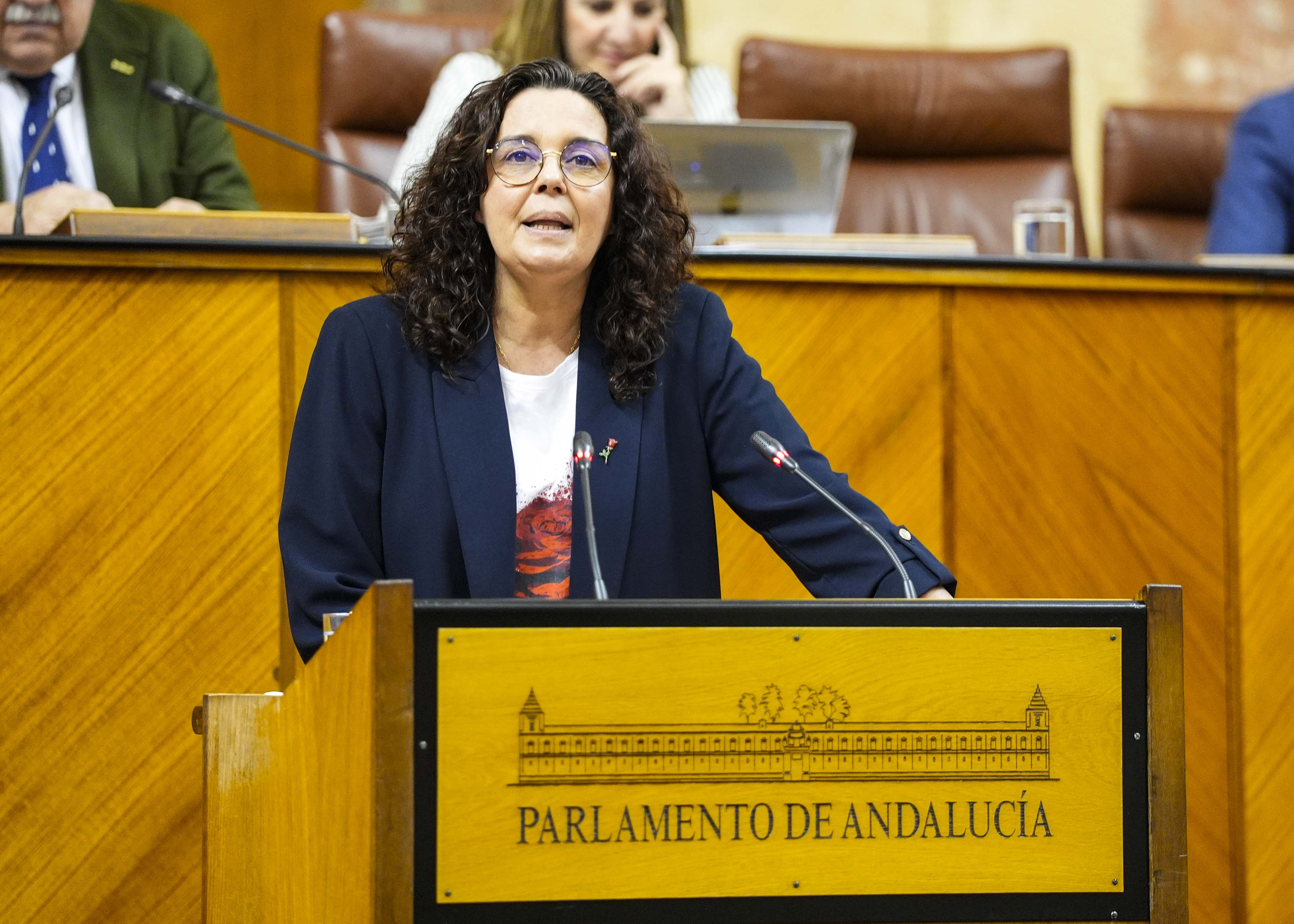 La sesión plenaria se reanuda con la presentación, por parte de Susana Rivas, del G.P. Socialista, de una moción relativa a política general en materia de alumnado con necesidades educativas especiales 