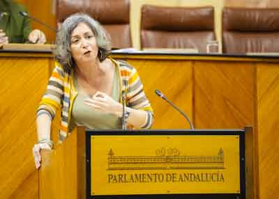 Miren Begoñe Iza, presidenta del G.P. Mixto-Adelante Andalucía, interpela al Consejo de Gobierno sobre los comedores escolares 