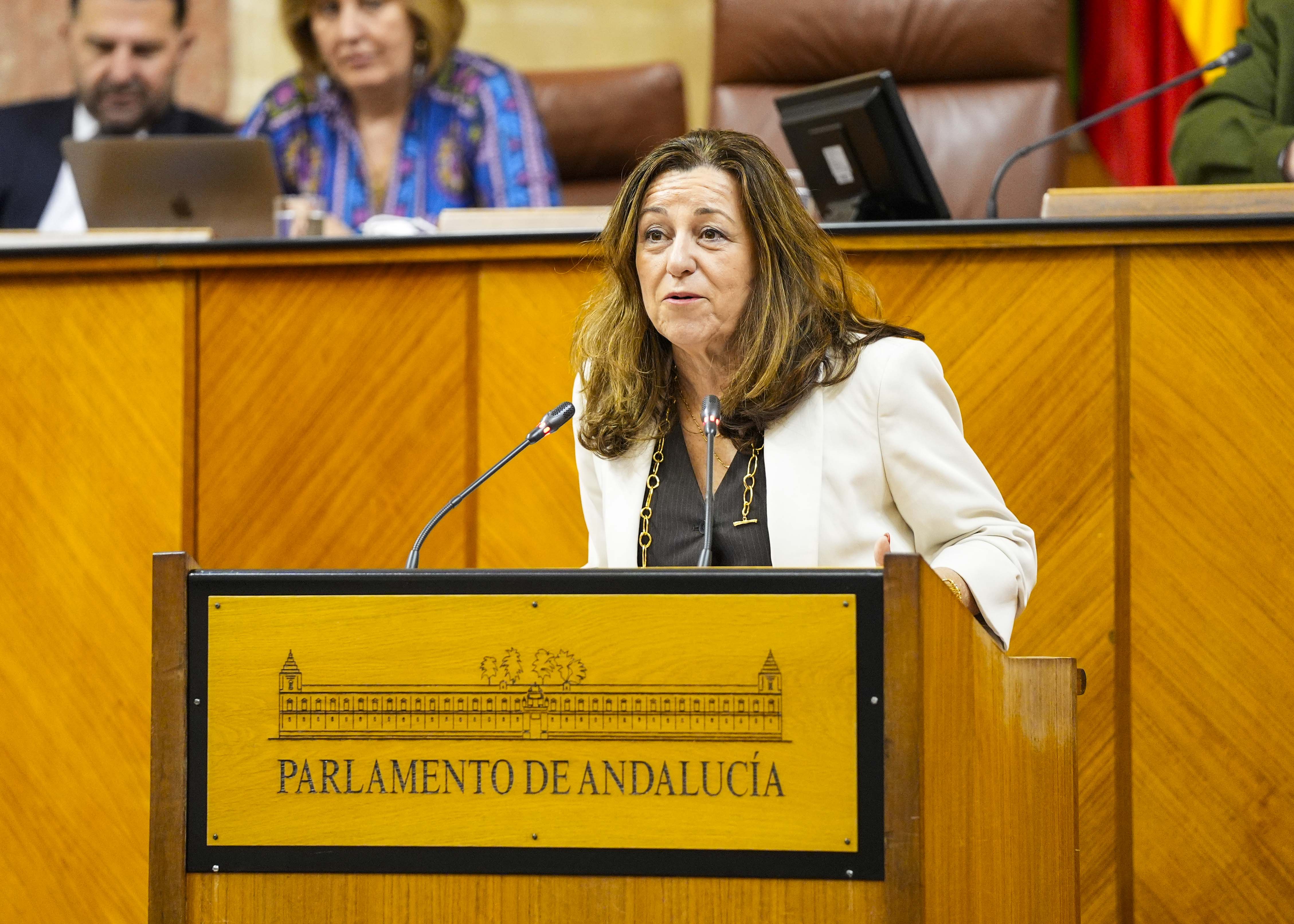 La consejera de Desarrollo Educativo y Formacin Profesional, Mara del Carmen Castillo, responde a la interpelacin de su competencia 