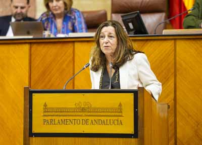 La consejera de Desarrollo Educativo y Formación Profesional, María del Carmen Castillo, responde a la interpelación de su competencia 