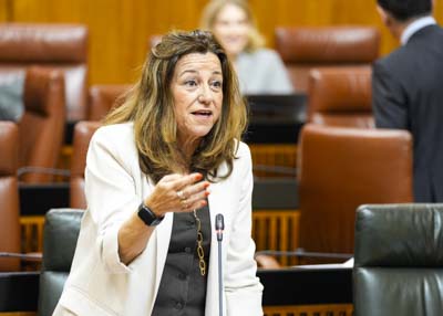 María del Carmen Castillo, consejera de Desarrollo Educativo y Formación Profesional, responde a la diputada 