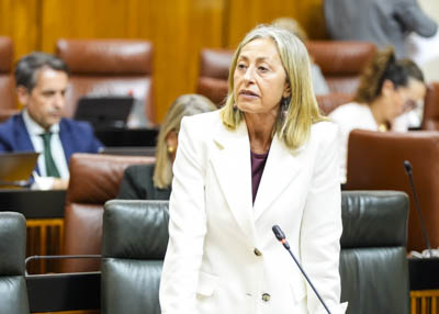 La consejera de Salud y Consumo, Rocío Hernández, responde a la pregunta 