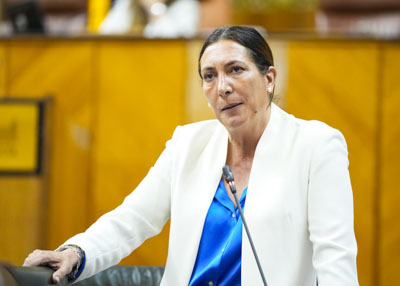 Loles López, consejera de Inclusión Social, Juventud, Familias e Igualdad, responde a la cuestión 