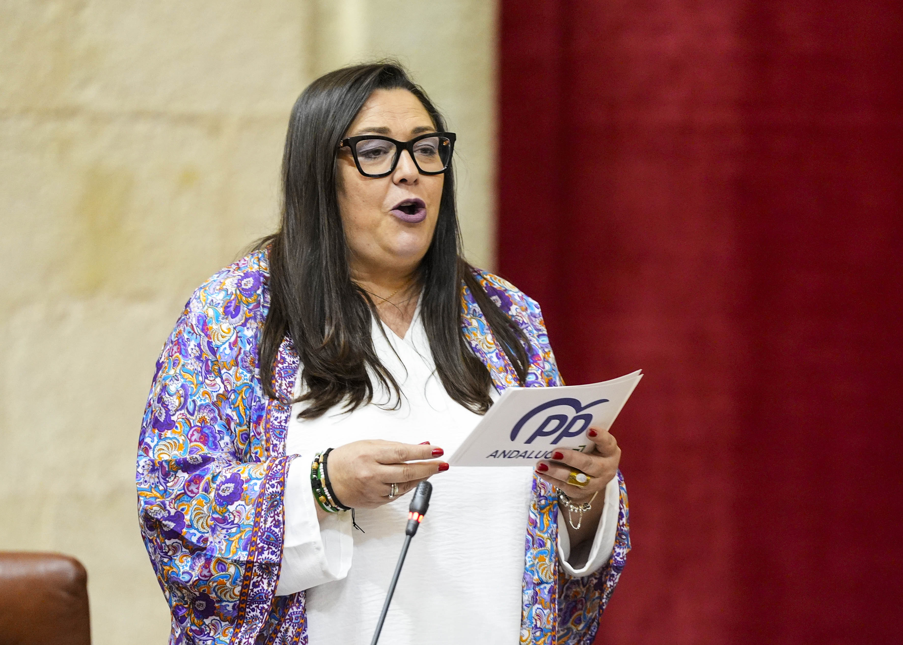  A propuesta del Grupo Popular, Dolores Bautista pregunta sobre la Ctedra de Flamenco de la Universidad Pablo de Olavide