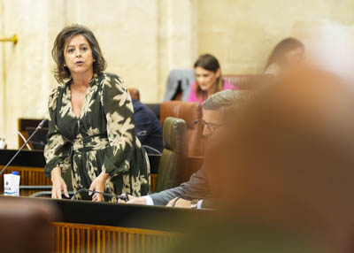 Catalina García, consejera de Sostenibilidad y Medio Ambiente, da respuesta a la cuestión 