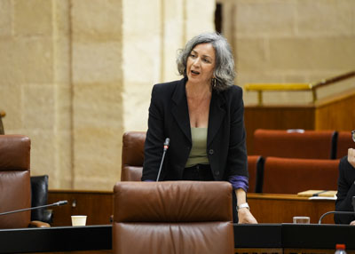 Por el G.P. Mixto-Adelante Andalucía, Miren Begoñe Iza pregunta sobre las macroplantas solares en Andalucía 