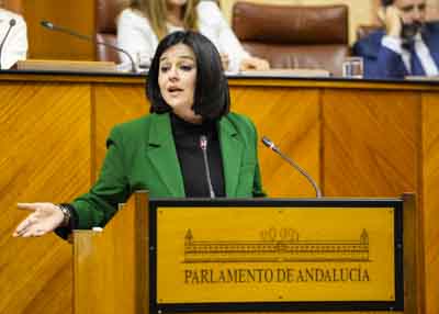  Virginia Pérez, del G.P. Popular de Andalucía, argumenta una proposición no de ley relativa a los efectos para Andalucía de la no aprobación de los presupuestos generales del Estado 