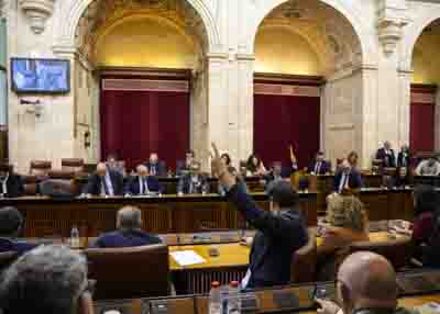 Detalle de una de las votaciones que se han producido en la tarde de hoy 
