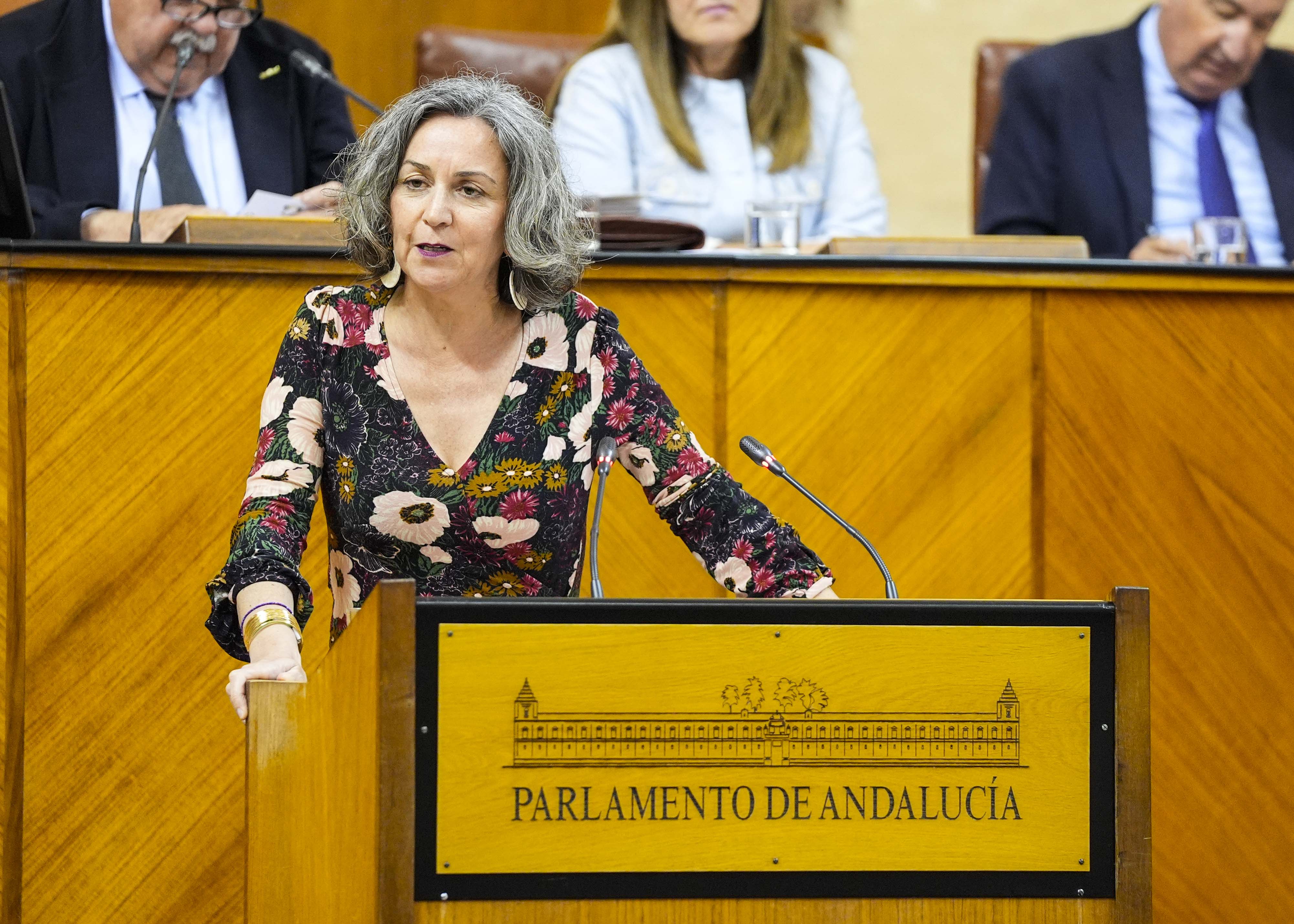 Miren Begoe Iza, presidenta del Grupo Mixto-Adelante Andaluca, presenta una proposicin de ley relativa a lucha contra la discriminacin por menopausia 