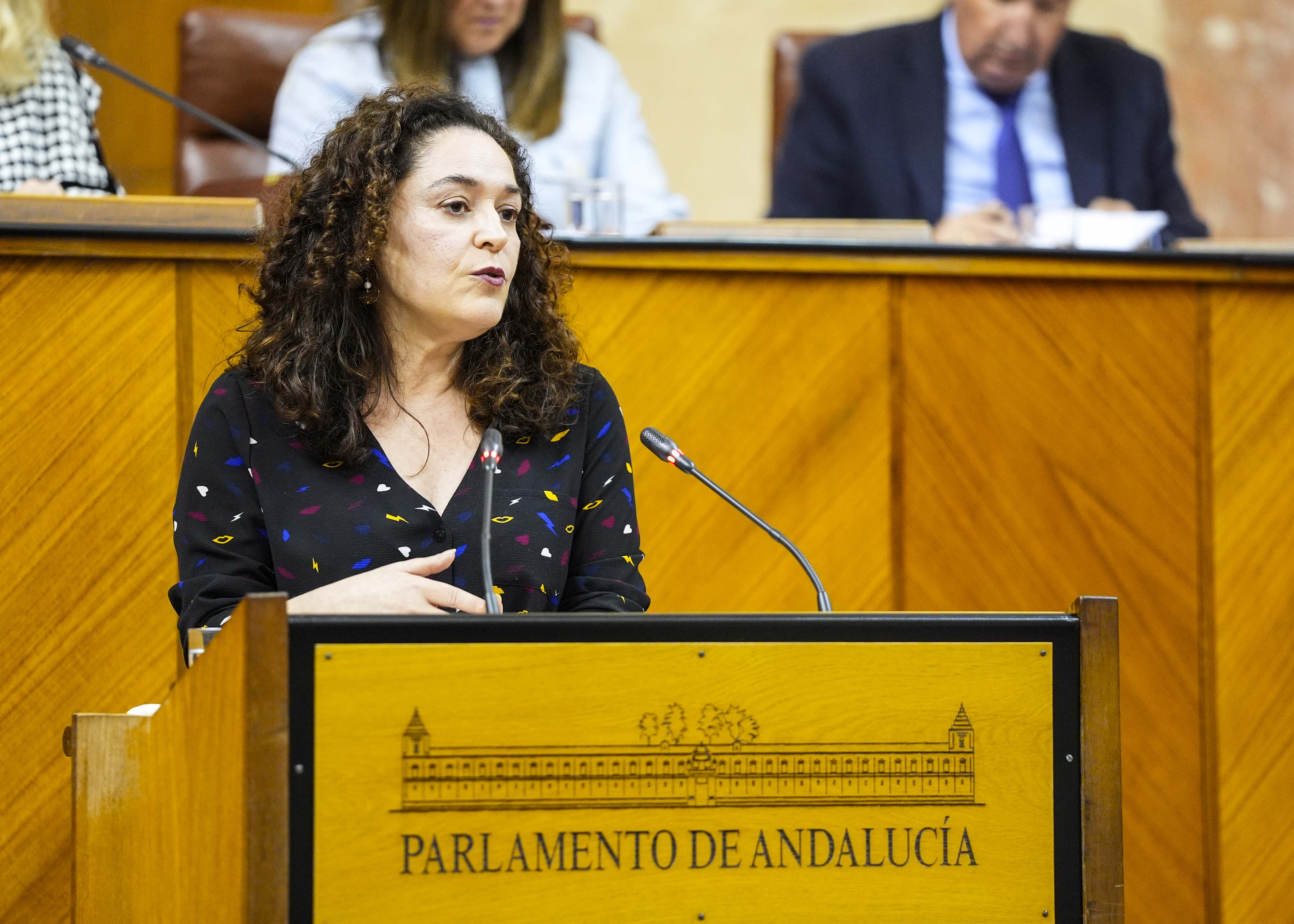 La portavoz del Grupo Por Andaluca, Inmaculada Nieto, posiciona a su grupo parlamentario respecto de la proposicin de ley  