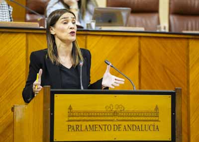 Olga Manzano, del Grupo Parlamentario Socialista, posiciona a su formacin en el debate de la proposicin de ley  
