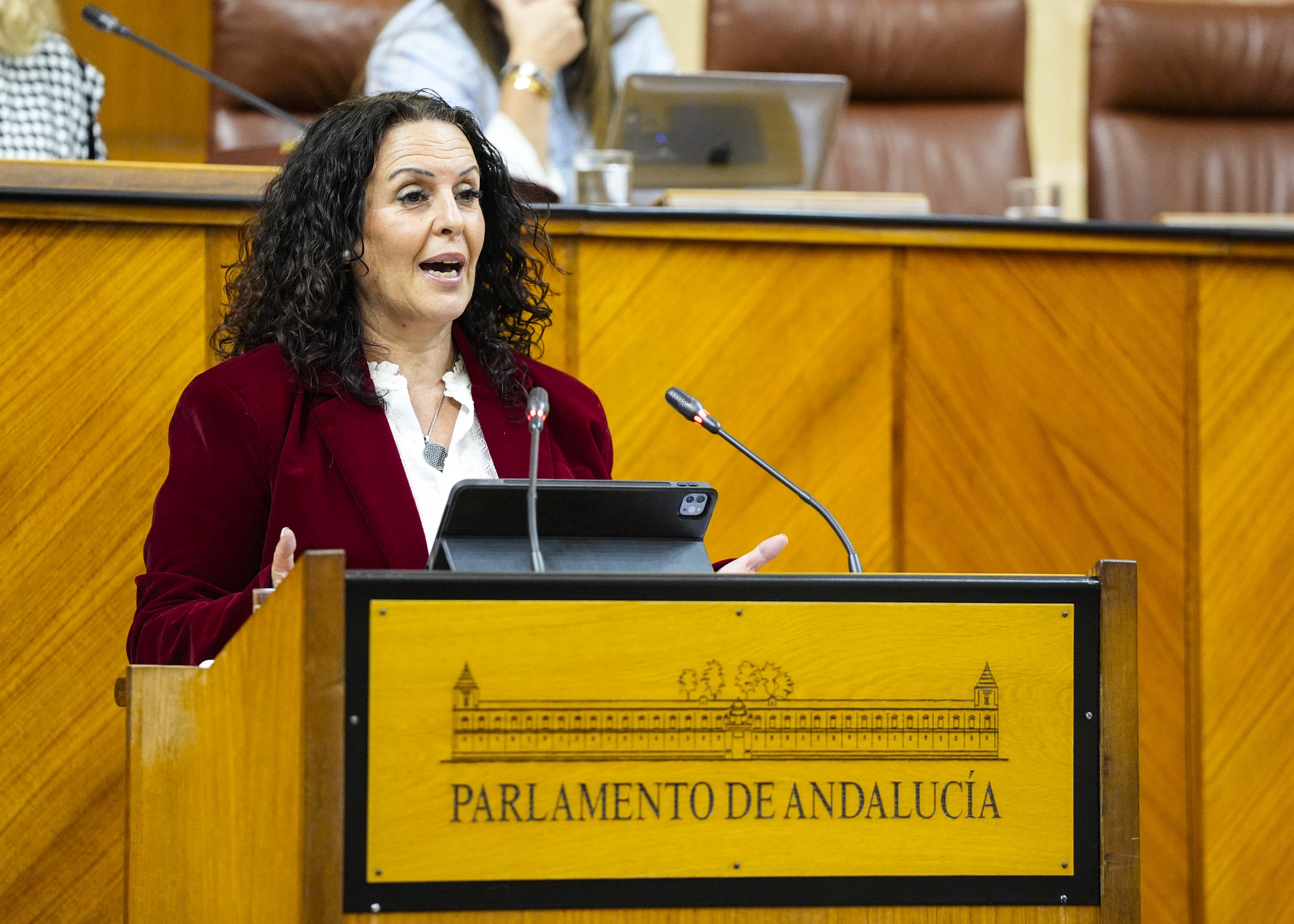 Para defender el parecer del Grupo Parlamentario Popular respecto de la proposicin de ley interviene Ascensin Hita  