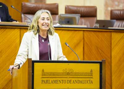  Roco Hernndez, consejera de Salud y Consumo, comparece para informar ante el Pleno sobre cuestiones relativas a su mbito competencial