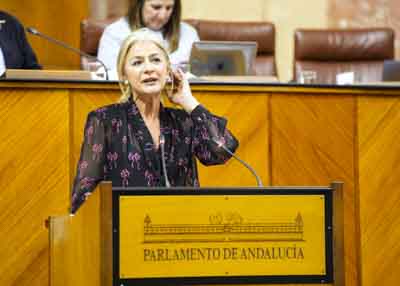 La consejera de Cultura y Deporte, Patricia del Pozo, comparece en pleno para informar sobre las ayudas para la conservacin y restauracin del arte sacro 
