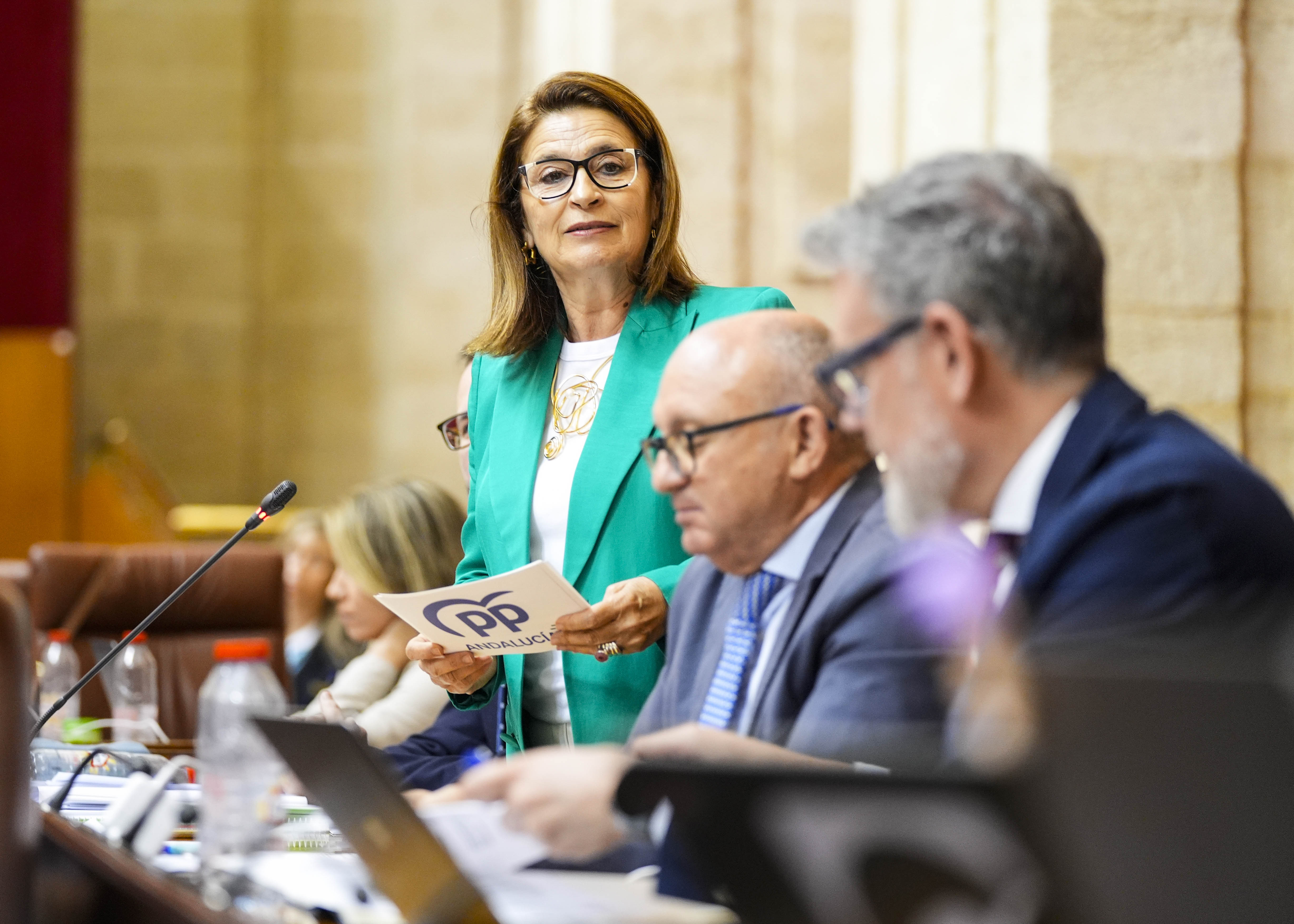 Dolores Martín, del Grupo Popular, inicia el turno de preguntas al Consejo de Gobierno con una cuestión relativa a seguridad de los andaluces en grandes concentraciones de población 