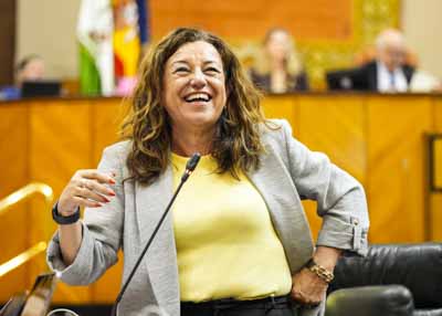 Mara del Carmen Castillo, consejera de Desarrollo Educativo y Formacin Profesional, responde al diputado 