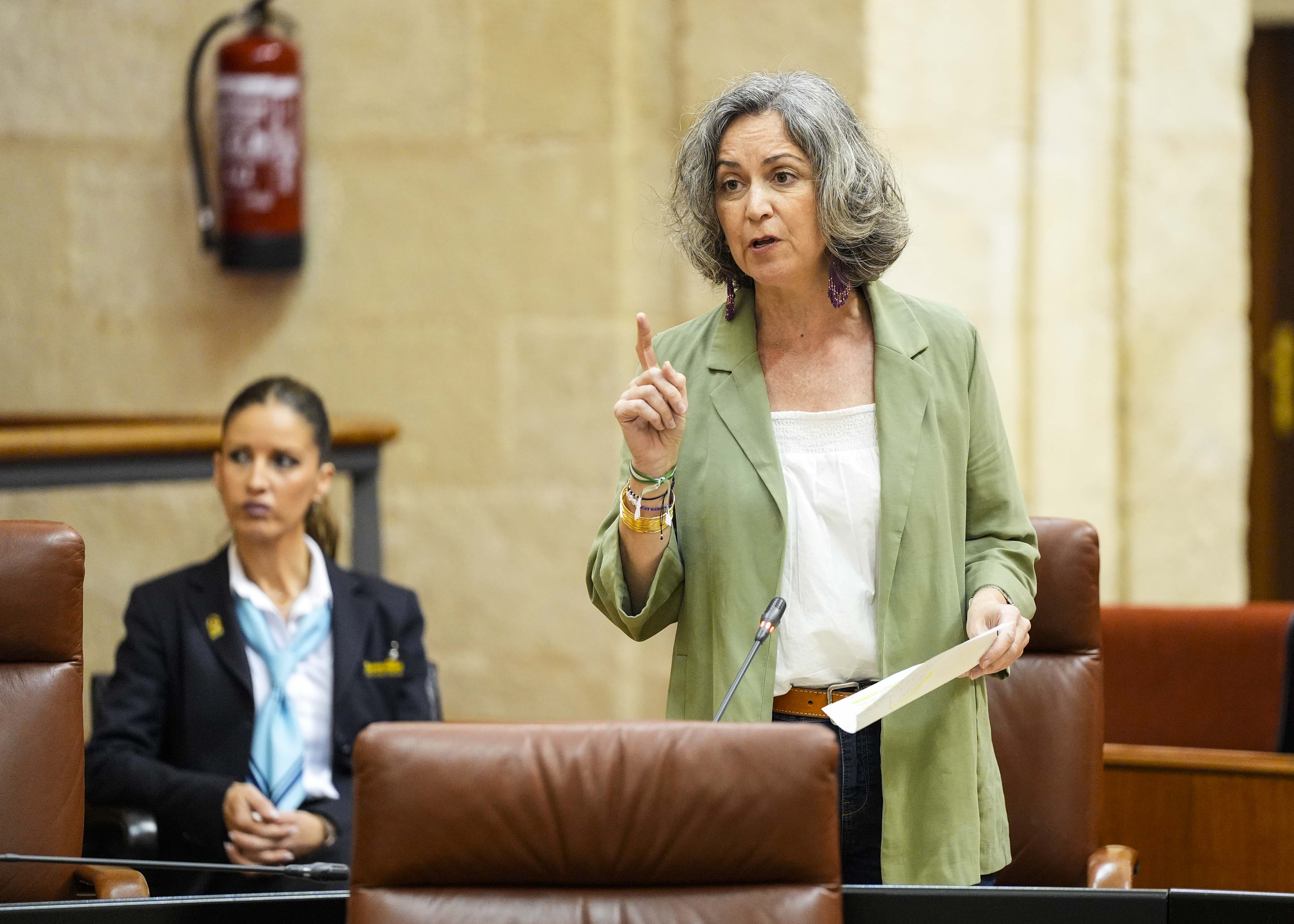 Miren Begoe Iza, presidenta del G.P. Mixto-Adelante Andaluca, pregunta sobre las ambulancias en el sur de Crdoba   