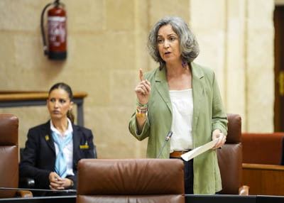 Miren Begoe Iza, presidenta del G.P. Mixto-Adelante Andaluca, pregunta sobre las ambulancias en el sur de Crdoba   