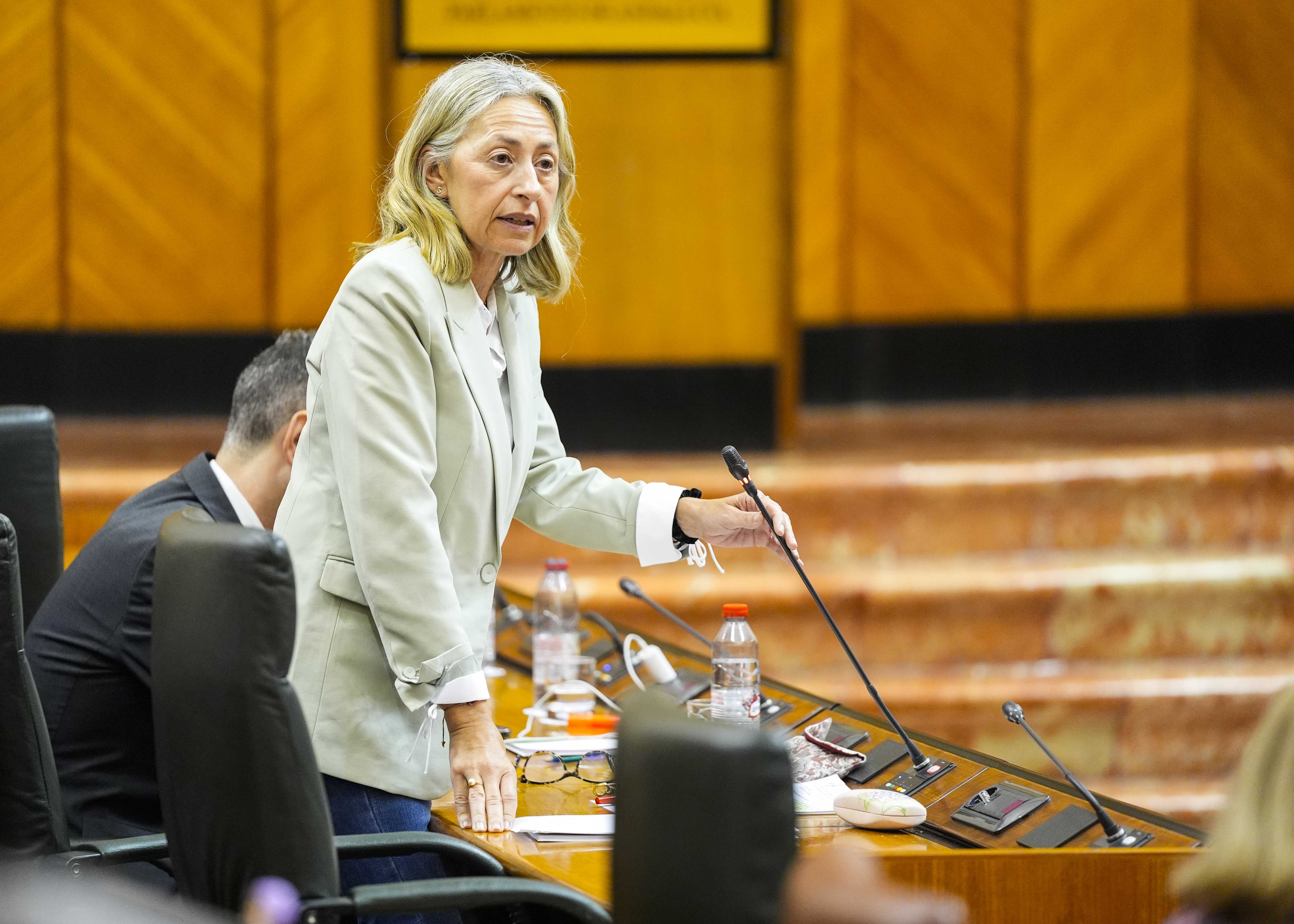 La consejera de Salud y Consumo, Roco Hernndez, responde a la pregunta  
