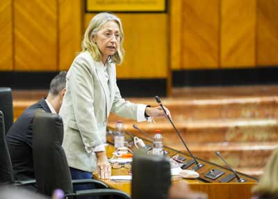 La consejera de Salud y Consumo, Roco Hernndez, responde a la pregunta  
