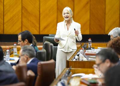 La consejera de Cultura y Deporte, Patricia del Pozo, contesta a la pregunta  