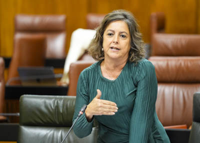 Catalina Garca, consejera de Sostenibilidad y Medio Ambiente, da respuesta a la cuestin 

 