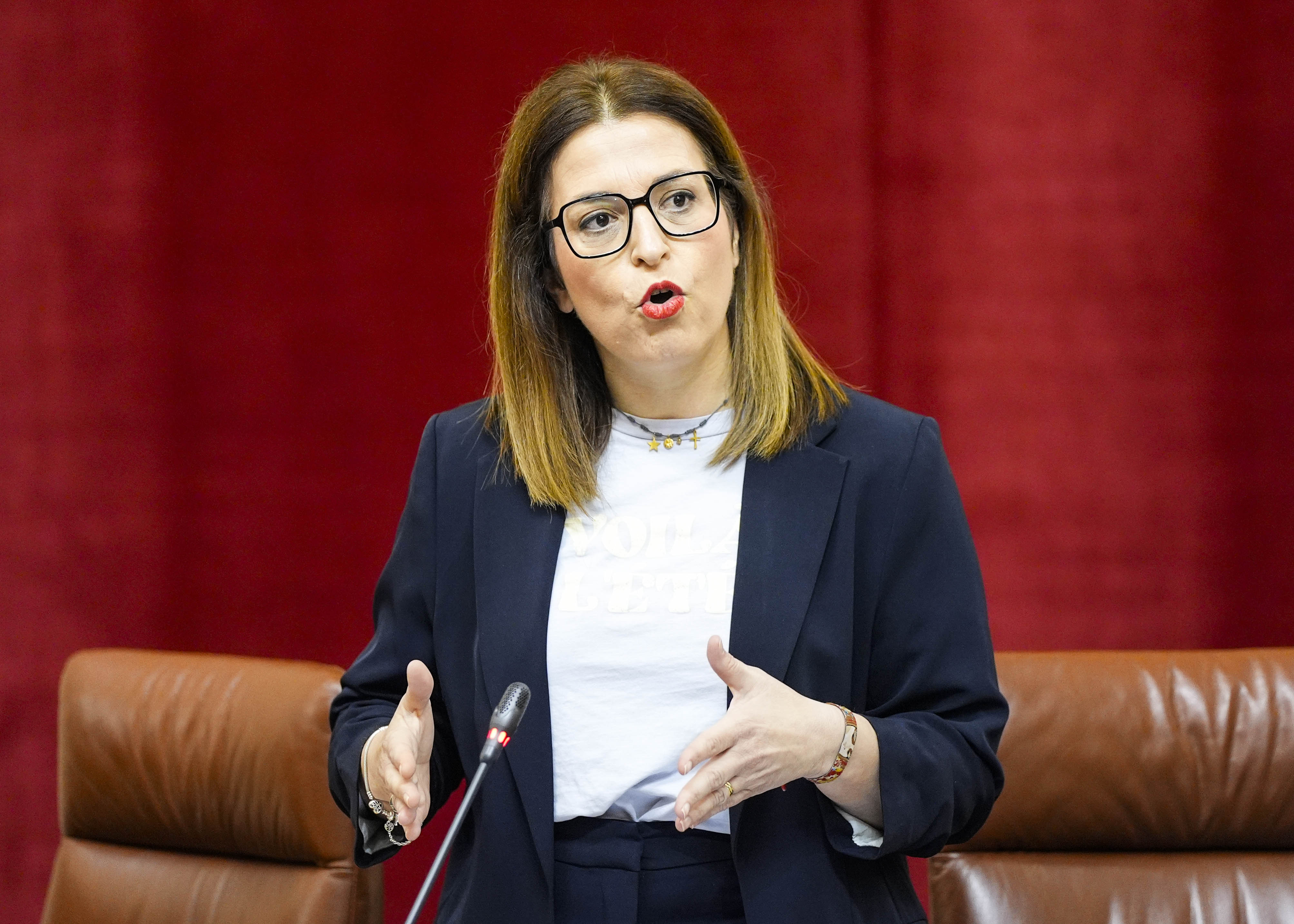 La diputada popular Francisca Mara Rosa pregunta sobre los incentivos complementarios a los incentivos econmicos regionales (IER) 