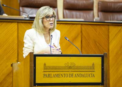 La diputada socialista Ana Mara Romero argumenta una PNLP relativa a la falta de accin de la Junta de Andaluca en respaldo a los trabajadores y empresas afectadas por el anuncio de aranceles por parte del Gobierno de Estados Unidos 