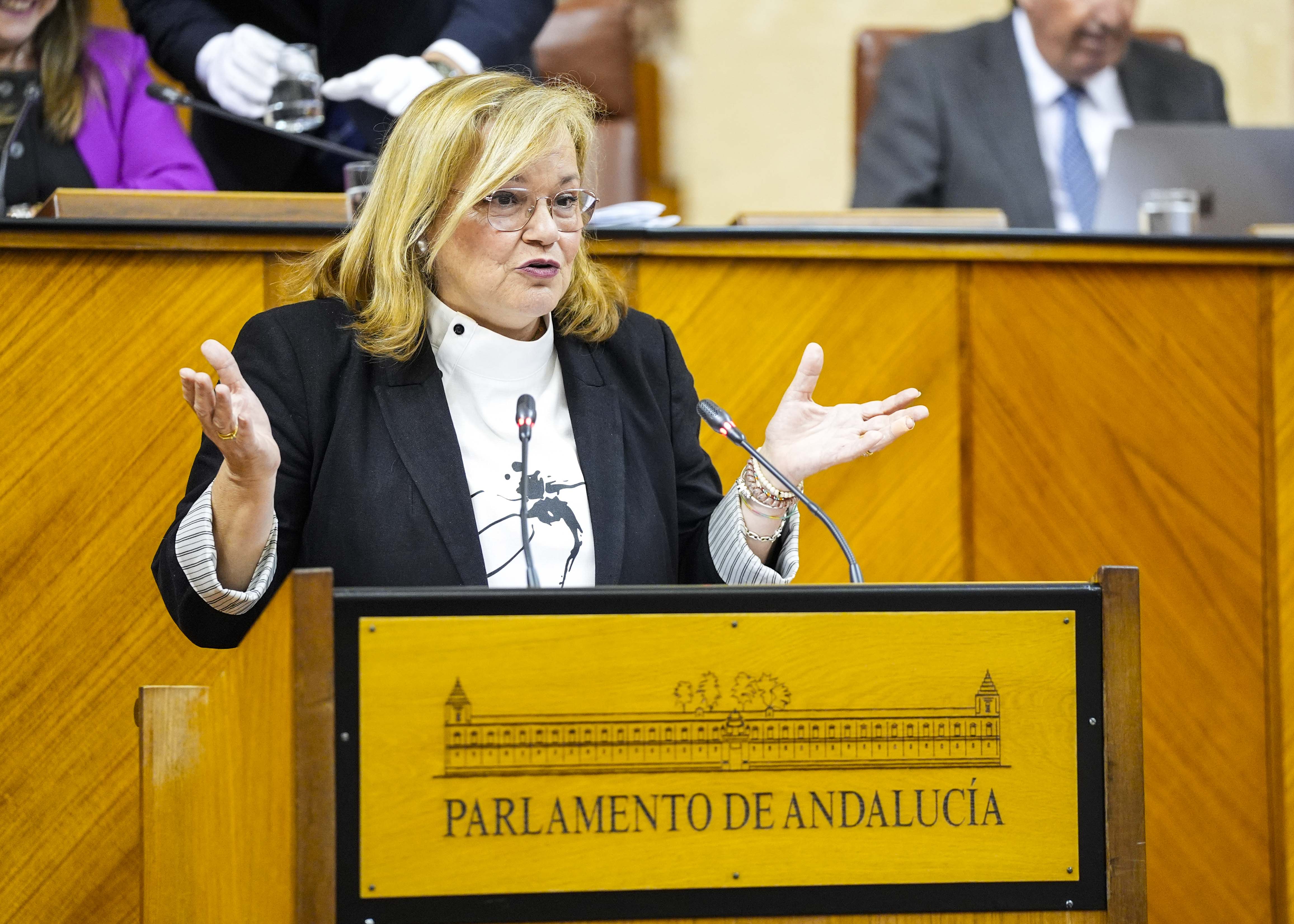 A propuesta del Grupo Popular, Mara Jos de Alba defiende una proposicin no de ley relativa al cumplimiento de la normativa europea y la jurisprudencia sobre permisos laborales y conciliacin de la vida familiar y profesional 